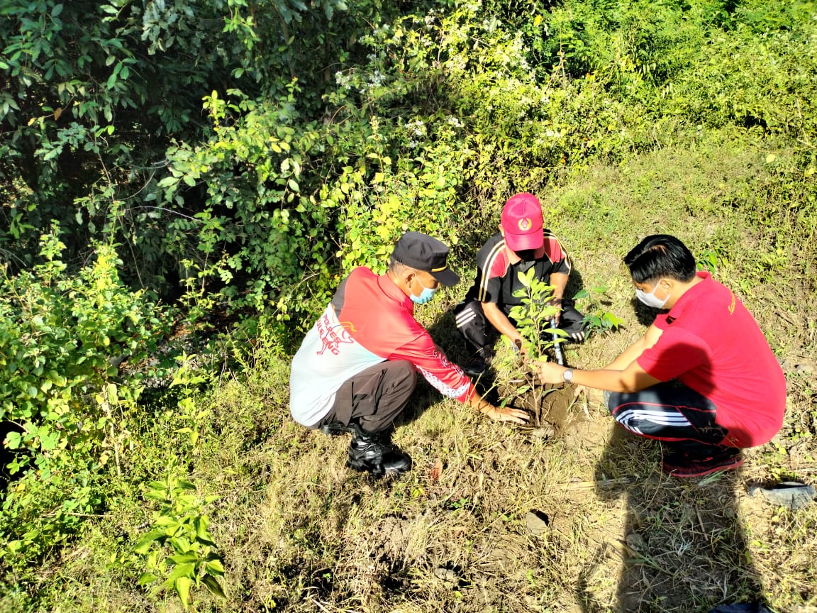 Kegiatan Penanaman Pohon Dalam Rangka Peringatan Bulan Bung Karno III