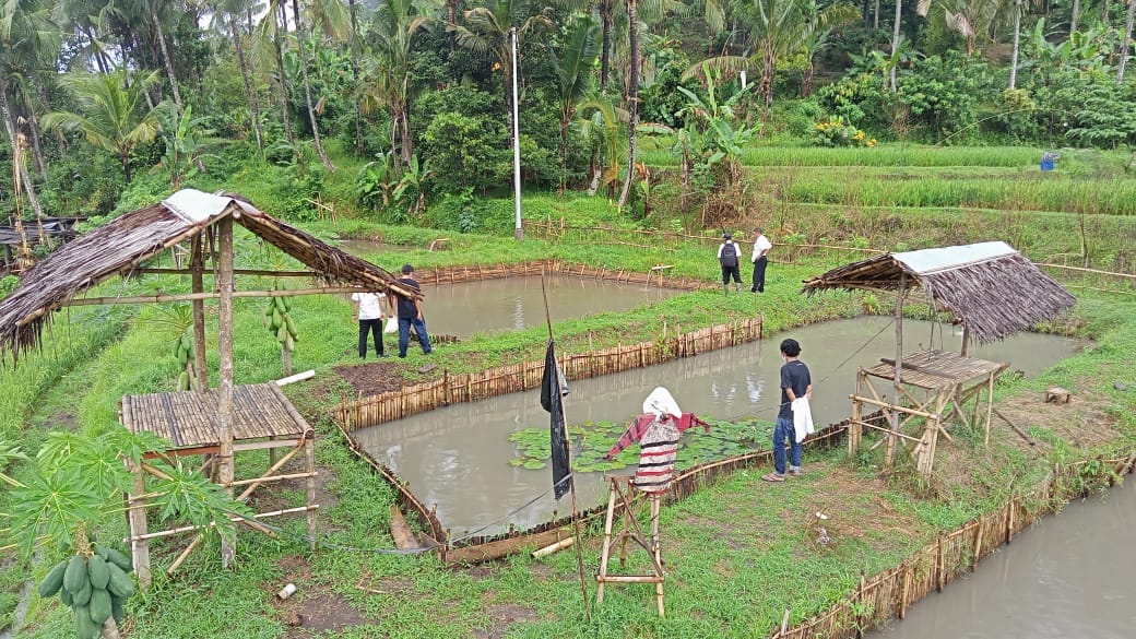 Pembinaan Terkait Kegiatan Budidaya Dan Administrasi Kelembagaan Pada ...