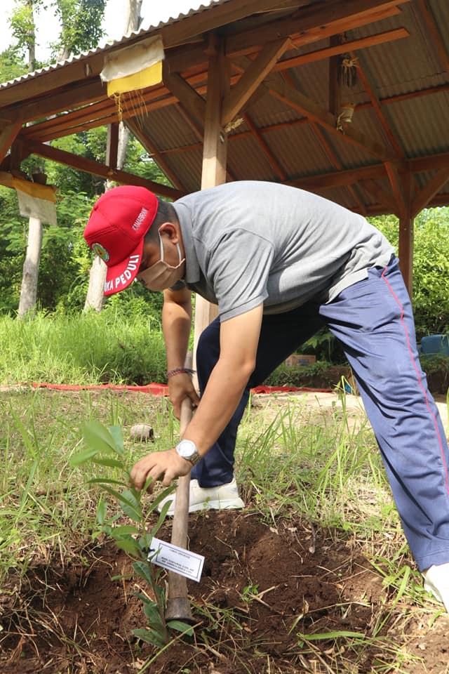 Penanaman Pohon Di Desa Sumberkima - Kecamatan Gerokgak