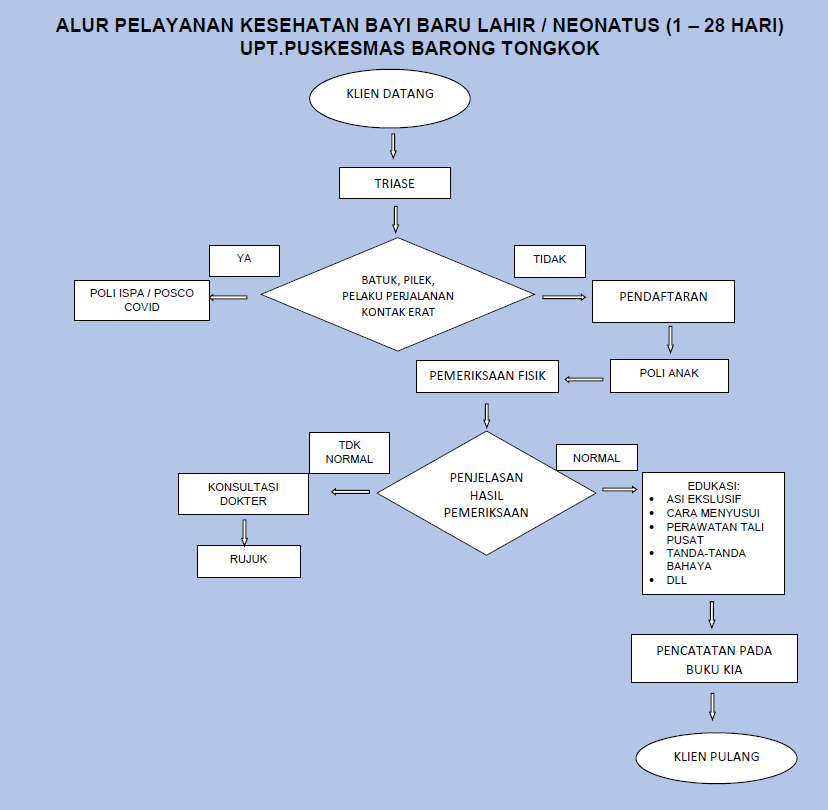 Pelayanan Bayi Baru Lahir / Neonatus (1 - 28 Hari) - UPT Puskesmas ...